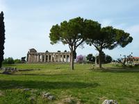 Tempel in Paestum
