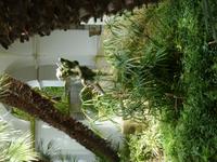 Zu Besuch in der Villa San Michelle