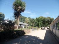 Die Avenue auf Sark