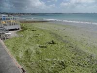 Das Wasser geht zurück - St. Aubins Bay