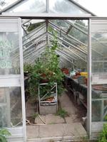 englisches Gewächshaus - Jersey