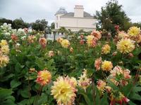 Seafield liegt in der St. Aubins Bay