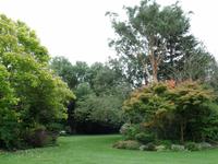 Runde Beete wirken harmonischer