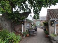 Zeit für Cream Tea im Gartencenter