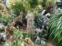 Orchid Foundation Jersey