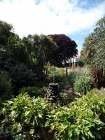 Candie Garden auf Guernsey