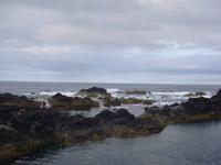 an der Küste von Santa Cruz das Flores