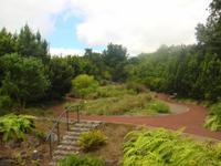 Botanischer Garten in Horta 