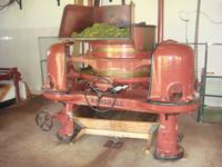 in der Teeplantage