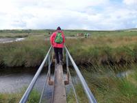 Der Gegenverkehr müsste warten