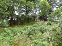 im Killarney Nationalpark