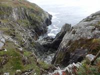 Wanderung auf Sheeps Head