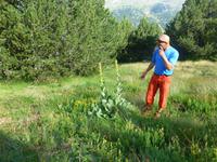 23 Blumen