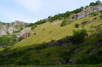 192 Cheddar Gorge