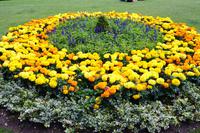 441 Winchester, Abbey Garden