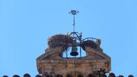 Salamanca