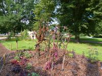 Estland_Tallinn_Reval_Stadtmauer_Gärten (4)