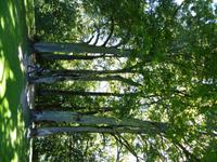 Lettland_Sigulda_Gaujapark (9)