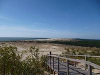 Litauen_kurische_Nehrung_Nidden_hohe_Düne (2)