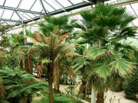 Schloss und Park Arcen