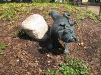 IMG_4450 so ein Frechdachs