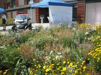 IMG_4452 Packhof Themengärten