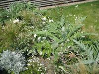 IMG_4458 Beetgestaltung