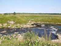 281 Ausflug ins Grüne