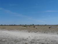 In der Savuit-Region