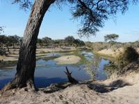 Spaziergang unweit der Mogothlo Lodge