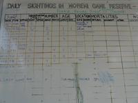 Safari im Moremi Game Reservat