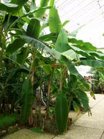 Schloss und Park Arcen