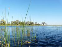 Mokoro-Fahrt auf einem Nebenarm des Okavangos