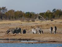 Im Hwange Nationalpark