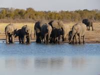 Im Hwange Nationalpark