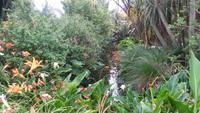 Botanischer Garten in Vauville