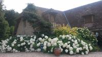Jardin Pays d' Auge