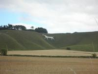 Cherhill White Horse