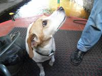 Monmouthshire and Brecon Canal