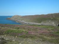 Whitesands St Davids