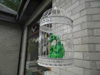 King Arthur's Labyrinth