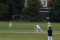 Cricket: Schlagmann in Action