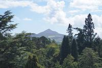 Sugerloaf Mountain, Powerscourt