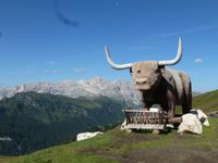 Friedrich August Weg