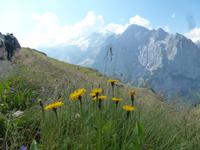 Blick zur Marmolata