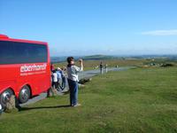 Bus, Landschaft, Dartmoor