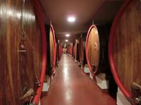 in der Schatzkammer unterwegs 