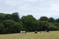 150Wanderung zum Schloss von Trécesson