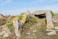 238Dolmen an der Fackelbucht
