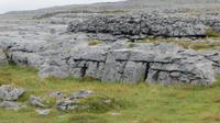 Burren - Black Head